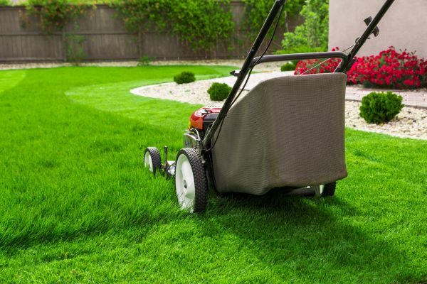 Grass Mowing in Salisbury