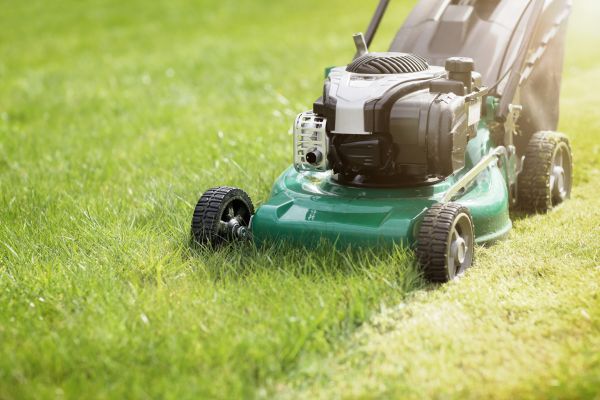 Yard Cutting in Salisbury