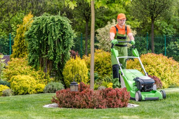 Yard Service in Salisbury