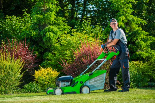 Yard Work Service in Salisbury