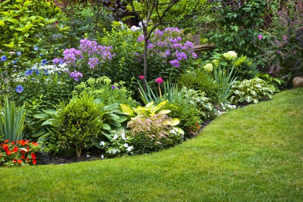 Spring Lawn Care Services
