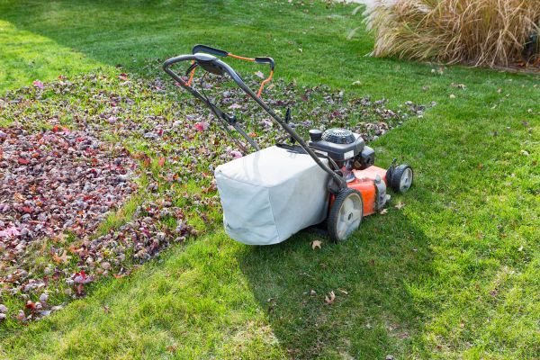 Seasonal Lawn Care in Salisbury