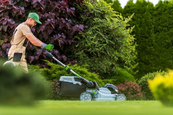 Lawn Management in Salisbury