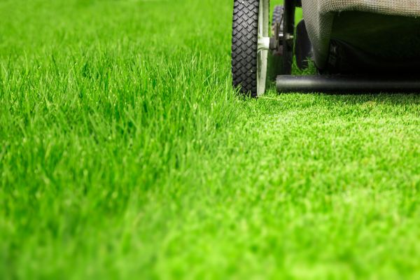 Weekly Lawn Care in Salisbury