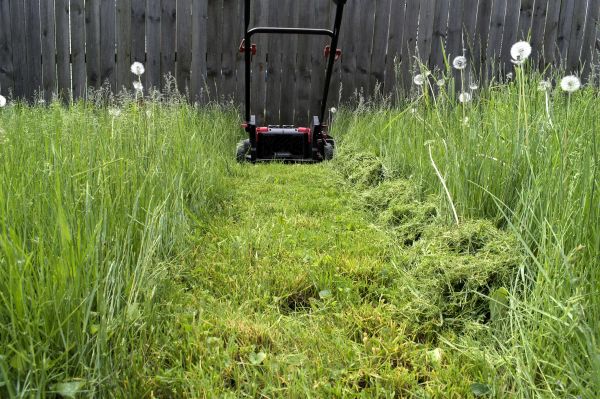 High Grass Mowing in Salisbury