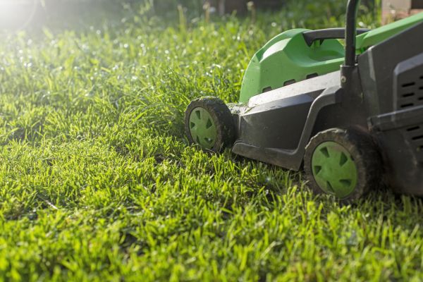 Lot Mowing in Salisbury