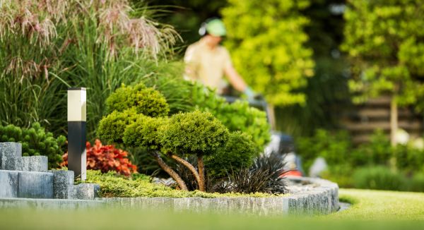 Residential Yard Maintenance in Salisbury