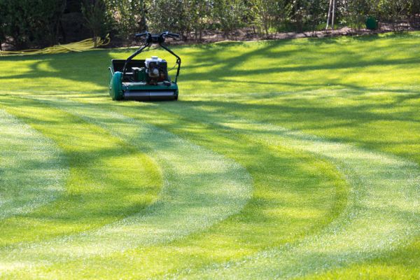 Business Lawn Mowing in Salisbury