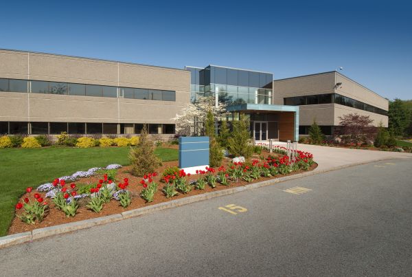 Commercial Groundskeeping in Salisbury