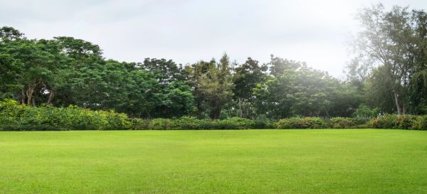 Golf Course Mowing in Salisbury