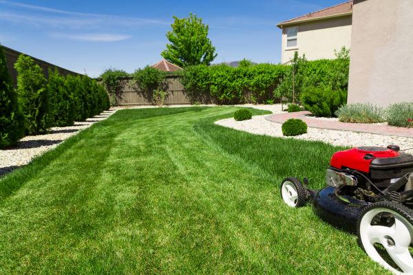 Residential Lawn Mowing in Salisbury