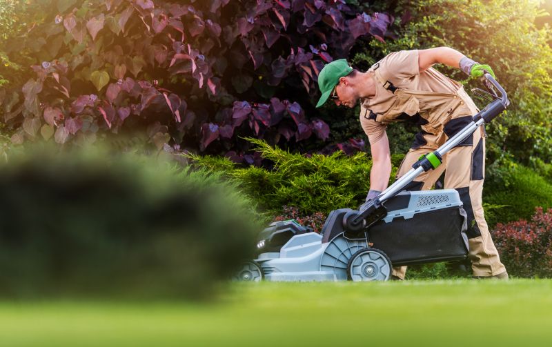 Specialized Lawn Mowing Services